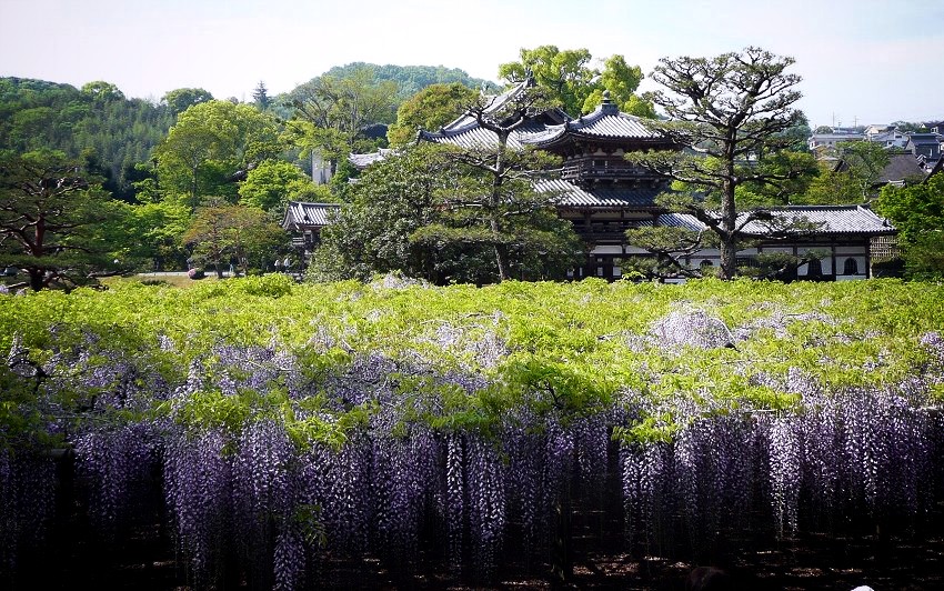 �����@�F�P�����Ɠ��A