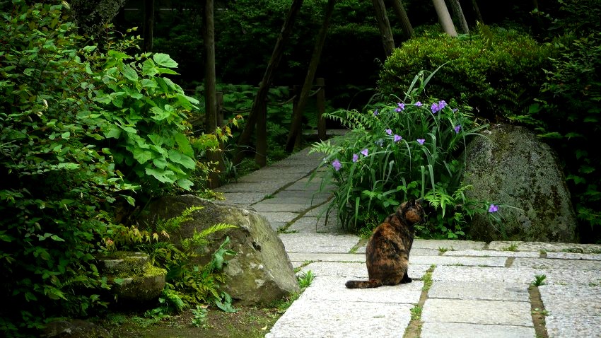 ���򎛁F�����ɂć@