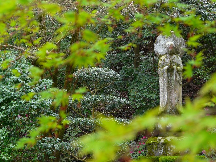 �O��@�F�V�΂ƒn����F