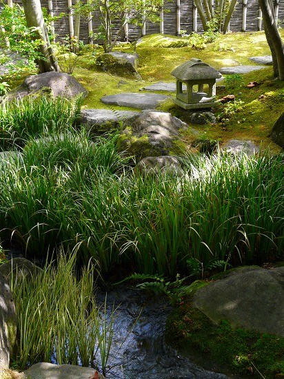 �D�É��F�Ė؂̒�A