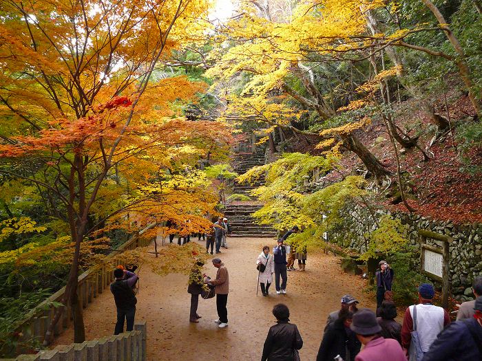 �i�����F�����̍g�t