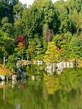 金閣寺：晩秋の鏡湖池