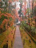 地蔵院：紅葉の参道