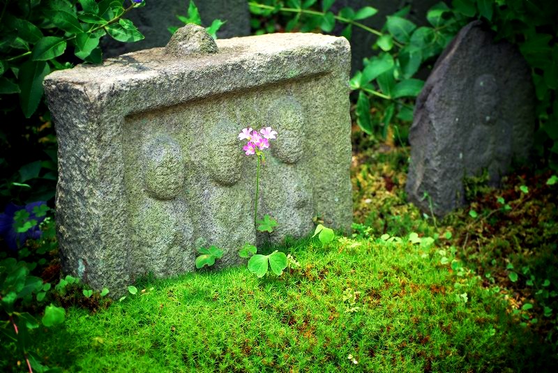 �������F���}�c�̐Ε��@