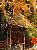 大原野神社：紅葉の手水舎