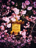 北野天満宮：梅と吊灯籠