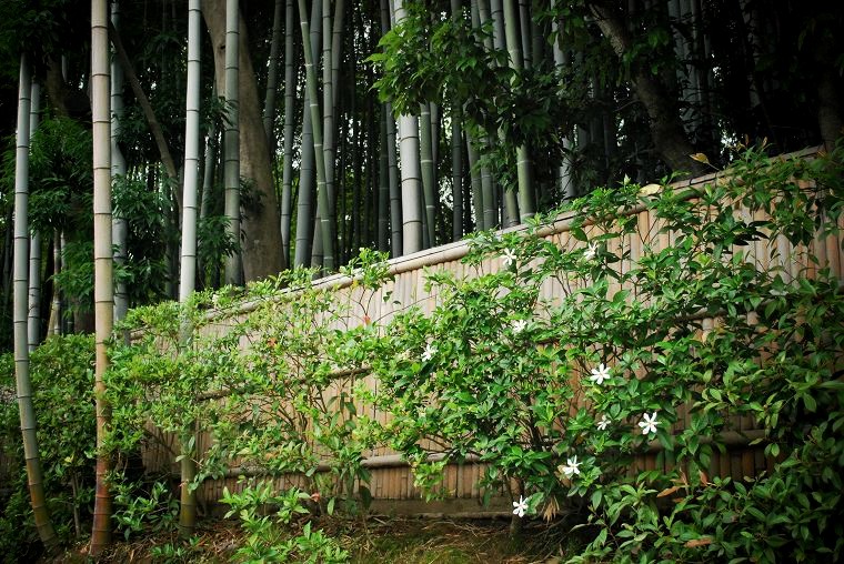 ���ˉ@�F�_���Ƃ����Ȃ�