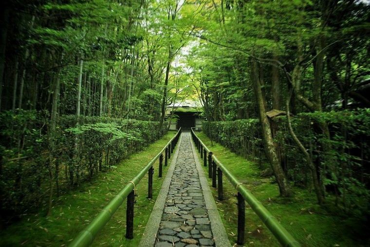 ���ˉ@�F6���̐Ώ�Q��