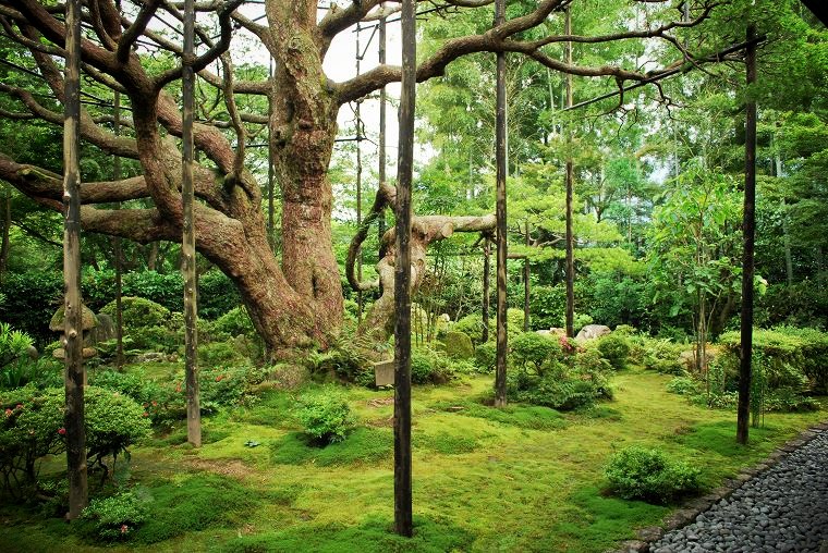 ���@�F�ܗt�T��