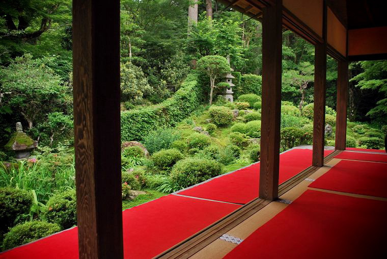 �O��@�F�q�a���ڕɉ�