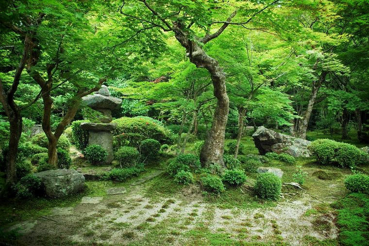 �������F6���̏\���̒�@