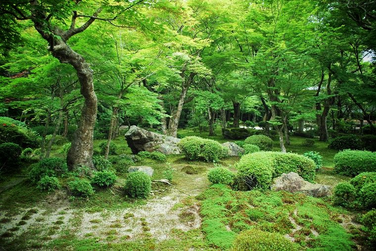 �������F6���̏\���̒�A