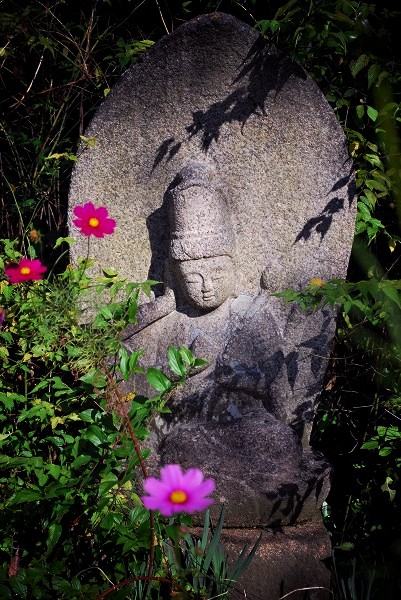 �ʎ᎛�F�Ε��ƏH��