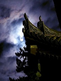 興福寺：満月と五重塔初層