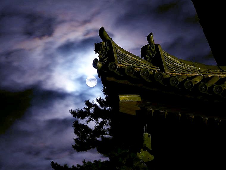 興福寺：満月と五重塔初層
