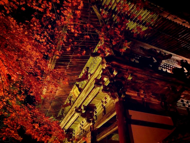 神護寺：紅葉と楼門