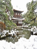 銀閣寺：雪景色の錦鏡池