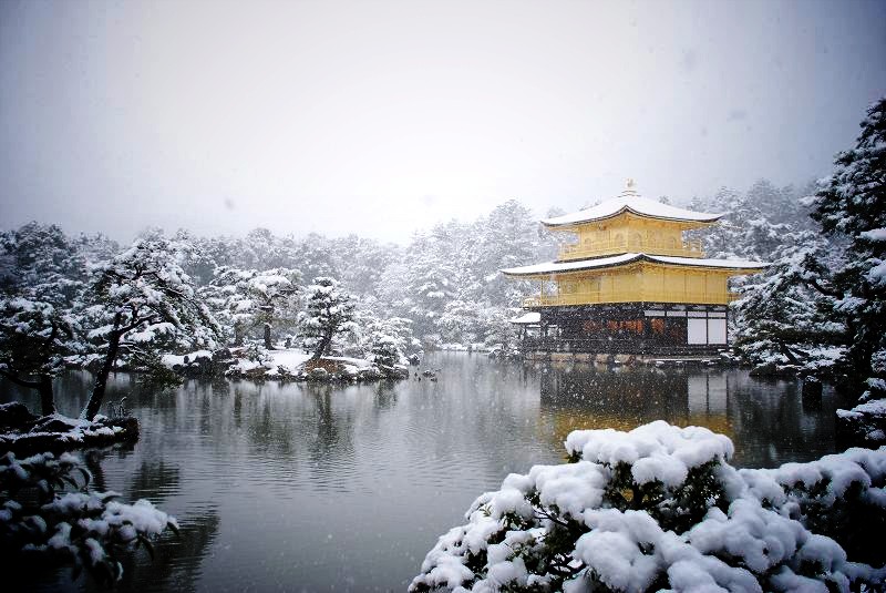 ���t���F��~�鋾�Βr