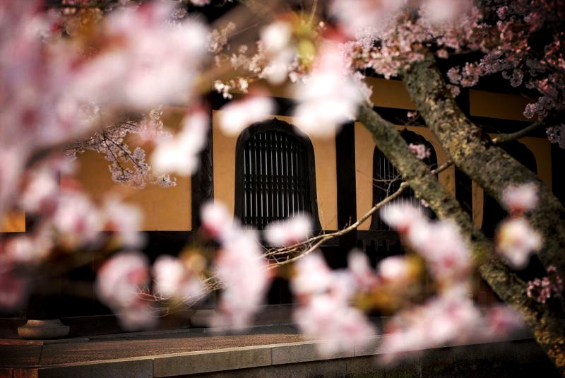 南禅寺：法堂の花頭窓