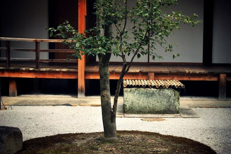 ���m���F�M��